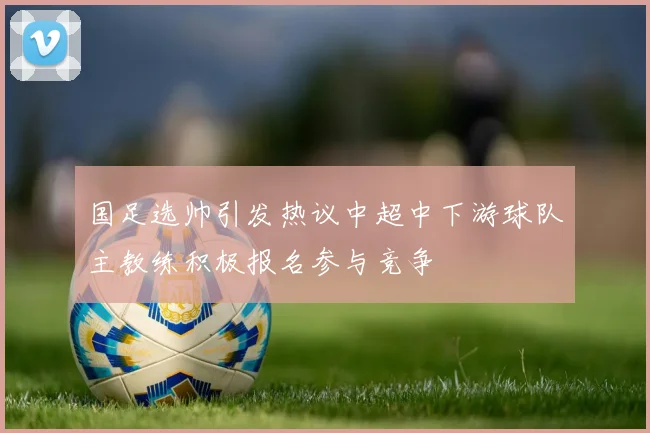国足选帅引发热议中超中下游球队主教练积极报名参与竞争