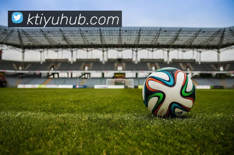 K体育平台生态图